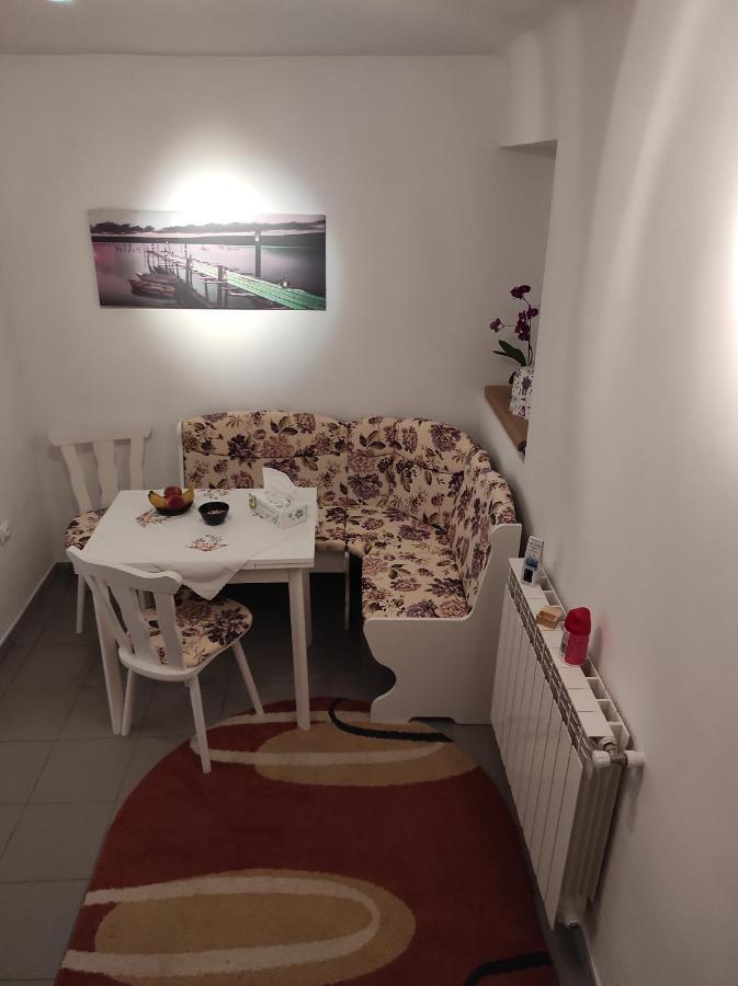 Garsoniera Cocheta Zona Coresi Mall 布拉索夫 外观 照片